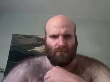 hairiestbear Image 8