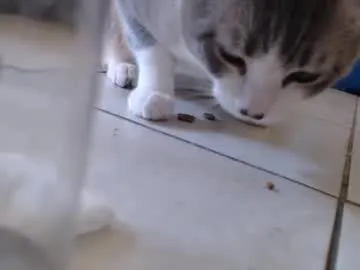 hungbeast410 Image 17