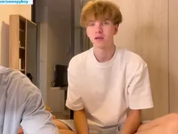 swoopyboy Image 18