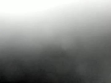 synop_sis Image 15