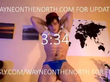 waynenorth Image 12
