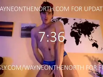 waynenorth Image 18