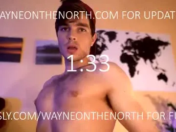 waynenorth Image 19