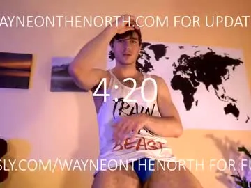 waynenorth Image 4
