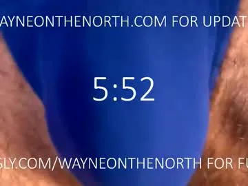 waynenorth Image 8