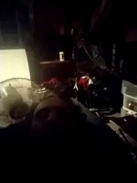 AceticPinscher Image 13