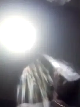 AceticPinscher Image 3