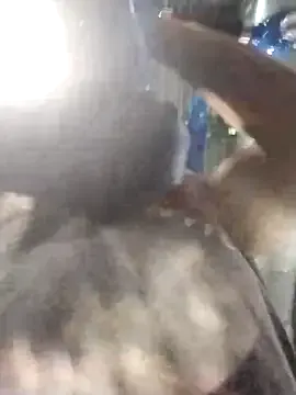 AceticPinscher Image 4