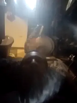 AceticPinscher Image 5