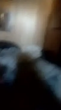 AceticPinscher Image 6