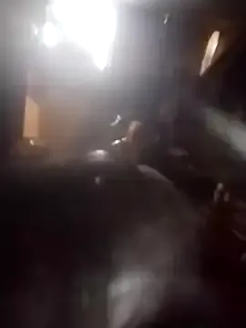 AceticPinscher Image 8