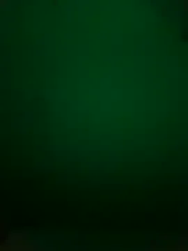 Karlagonzales_ Image 2