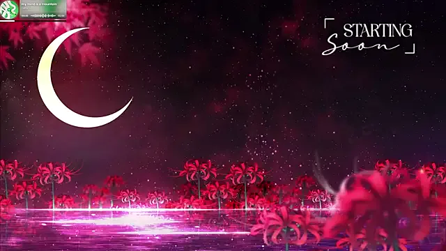 LewdFoxy_VT Image 3
