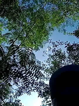 outdoors11 Image 3