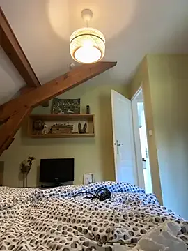 Petitbiscuit2B0 Image 2