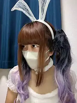 PINO_pino_01 Image 13