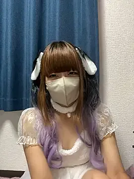 PINO_pino_01 Image 15