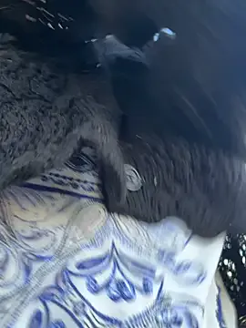 raen001 Image 17