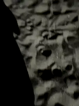 winter11 Image 16