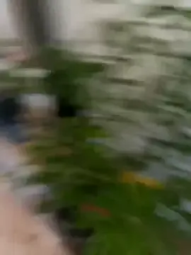 Your_Wish_4U's Thumb Image